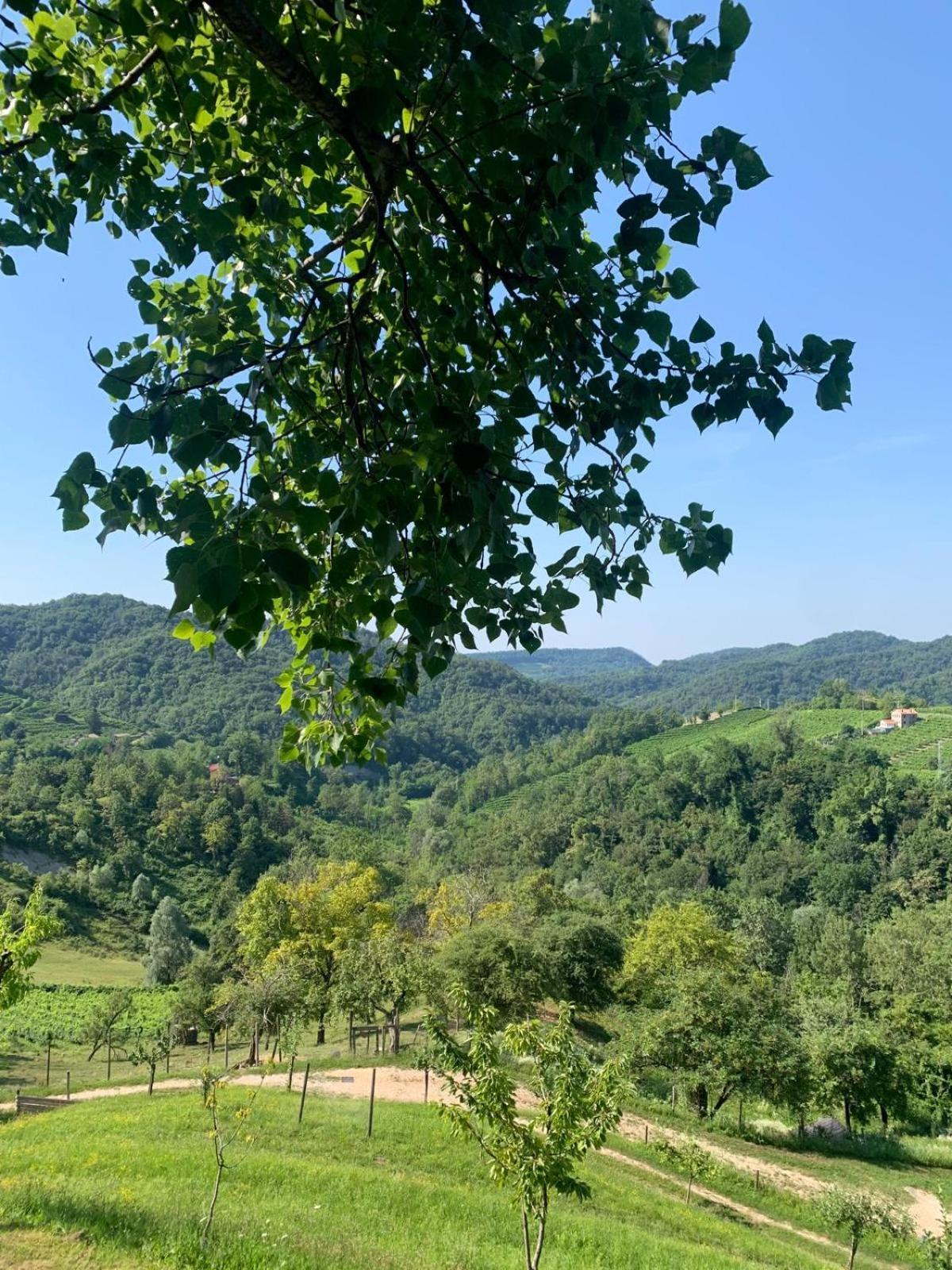 Agriturismo Le Noci Tarzo Exterior photo